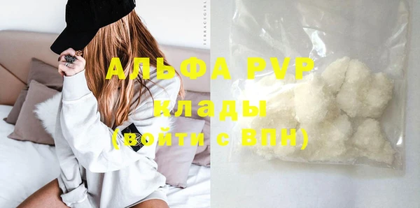 спиды Нефтекумск