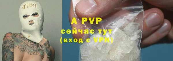 спиды Нефтекумск