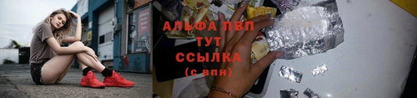 спиды Нея