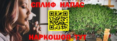 спиды Гусев