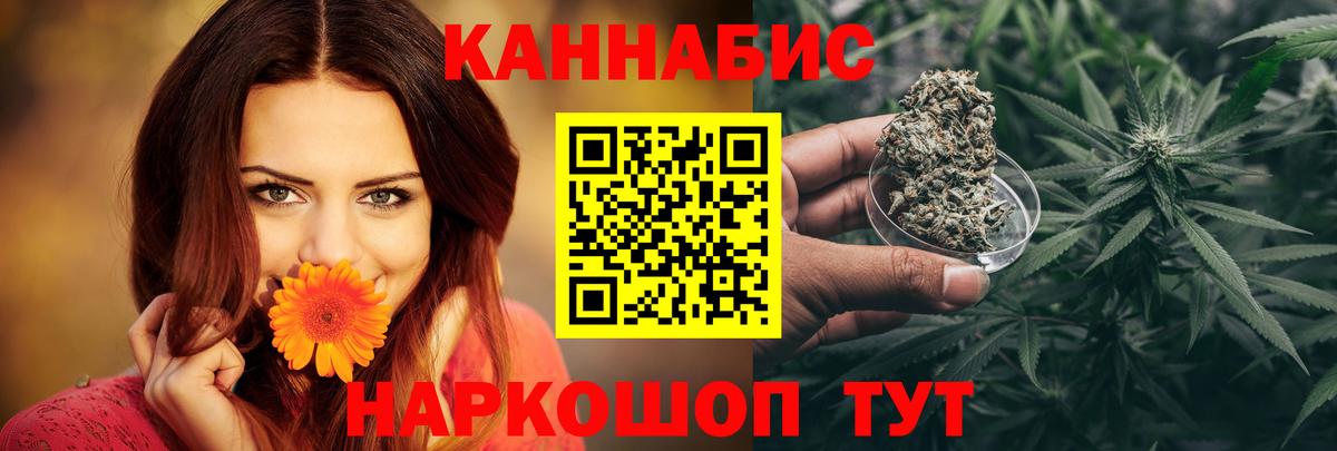 Марихуана сатива Реутов